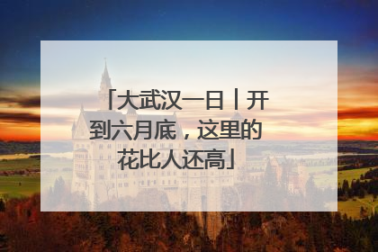 大武汉一日︱开到六月底，这里的花比人还高