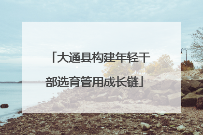 大通县构建年轻干部选育管用成长链