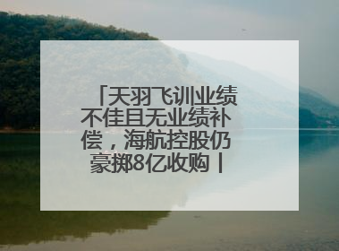 天羽飞训业绩不佳且无业绩补偿，海航控股仍豪掷8亿收购丨一周市场观察