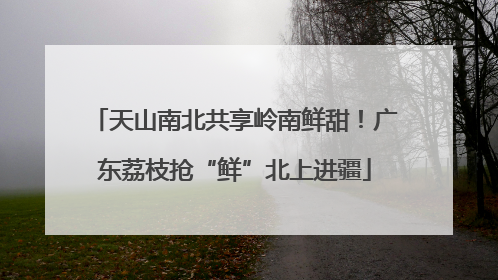 天山南北共享岭南鲜甜！广东荔枝抢“鲜”北上进疆
