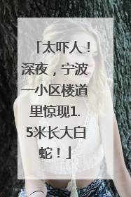 太吓人！深夜，宁波一小区楼道里惊现1.5米长大白蛇！