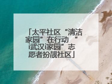 太平社区“清洁家园”在行动 “i武汉i家园”志愿者扮靓社区