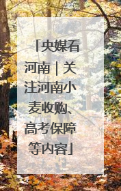 央媒看河南｜关注河南小麦收购、高考保障等内容