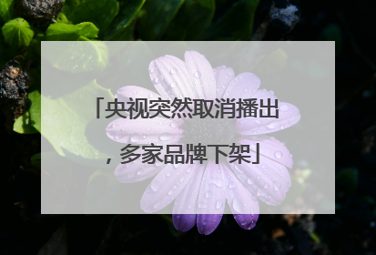 央视突然取消播出，多家品牌下架