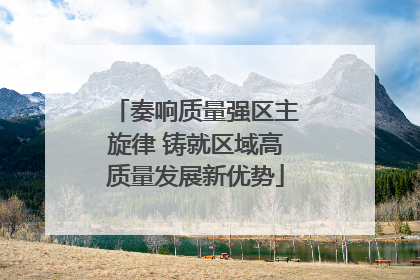奏响质量强区主旋律 铸就区域高质量发展新优势