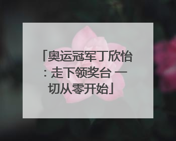 奥运冠军丁欣怡：走下领奖台 一切从零开始