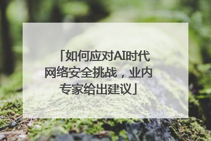 如何应对AI时代网络安全挑战，业内专家给出建议