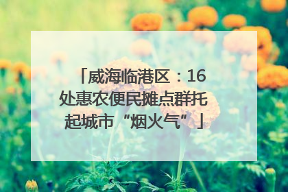 威海临港区：16处惠农便民摊点群托起城市“烟火气”