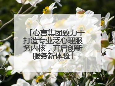 心言集团致力于打造专业泛心理服务内核，开启创新服务新体验