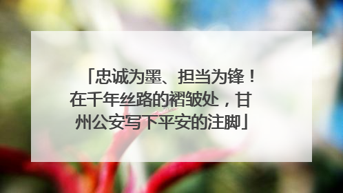 忠诚为墨、担当为锋！在千年丝路的褶皱处，甘州公安写下平安的注脚