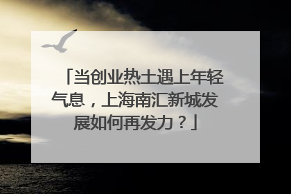 当创业热土遇上年轻气息，上海南汇新城发展如何再发力？