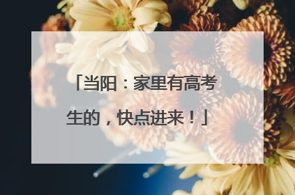 当阳：家里有高考生的，快点进来！