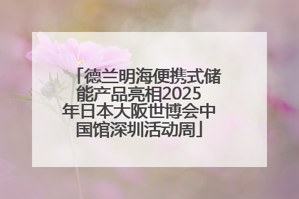 德兰明海便携式储能产品亮相2025年日本大阪世博会中国馆深圳活动周