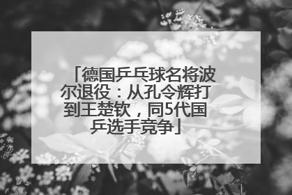 德国乒乓球名将波尔退役：从孔令辉打到王楚钦，同5代国乒选手竞争
