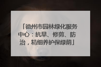 德州市园林绿化服务中心：抗旱、修剪、防治，精细养护保绿荫