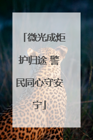 微光成炬护归途 警民同心守安宁