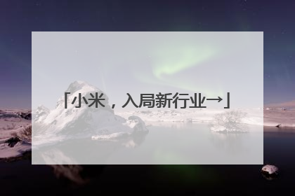 小米，入局新行业→