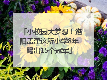 小校园大梦想！洛阳孟津这所小学8年踢出15个冠军