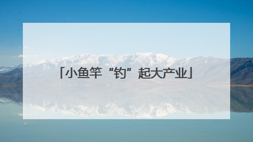 小鱼竿“钓”起大产业