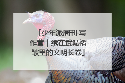 少年派周刊·写作营｜绣在武陵褶皱里的文明长卷
