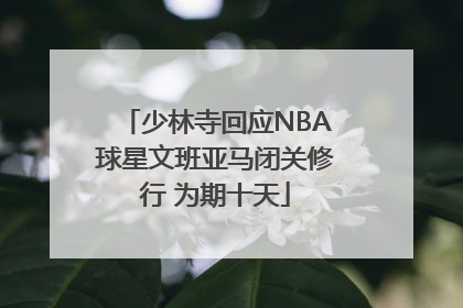 少林寺回应NBA球星文班亚马闭关修行 为期十天
