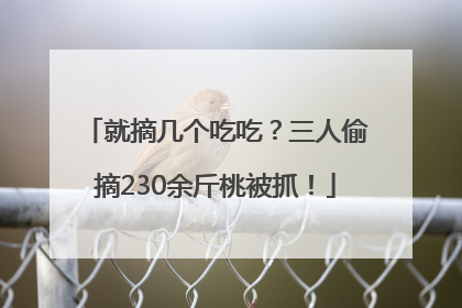 就摘几个吃吃？三人偷摘230余斤桃被抓！