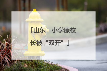 山东一小学原校长被“双开”