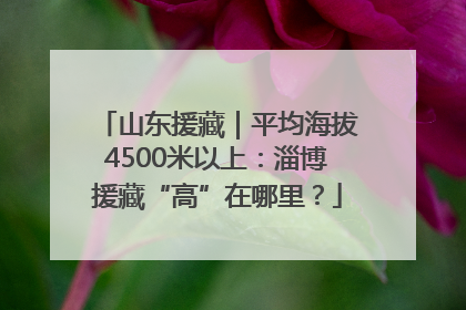 山东援藏｜平均海拔4500米以上：淄博援藏“高”在哪里？