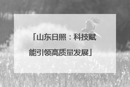 山东日照：科技赋能引领高质量发展