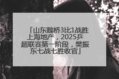 山东魏桥3比1战胜上海地产，2025乒超联赛第一阶段，樊振东七战七胜收官