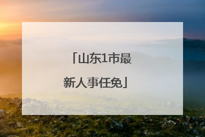 山东1市最新人事任免