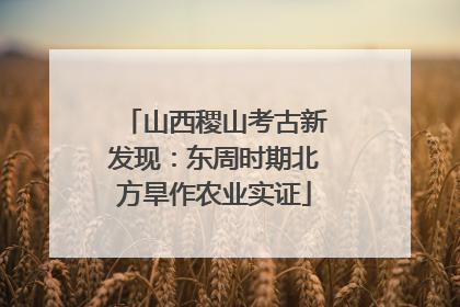 山西稷山考古新发现：东周时期北方旱作农业实证