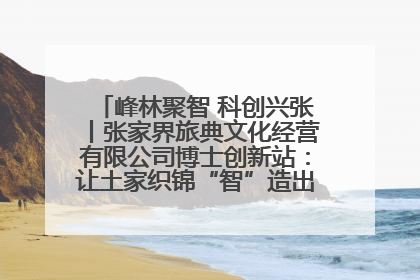 峰林聚智 科创兴张丨张家界旅典文化经营有限公司博士创新站：让土家织锦“智”造出非遗新传奇