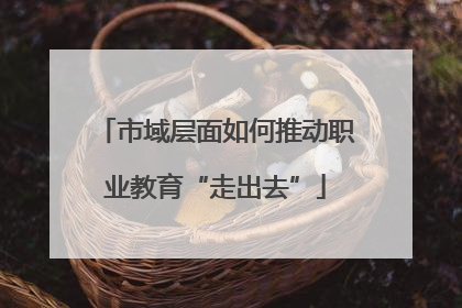 市域层面如何推动职业教育“走出去”