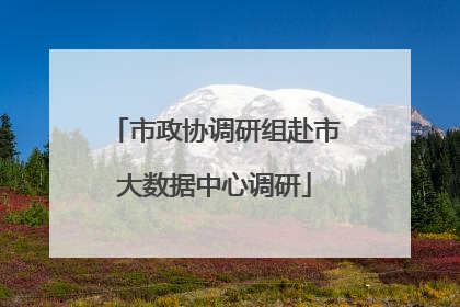 市政协调研组赴市大数据中心调研