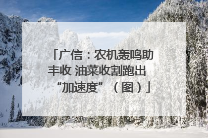 广信：农机轰鸣助丰收 油菜收割跑出“加速度”（图）