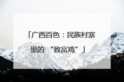 广西百色：民族村寨里的 “致富鸡”