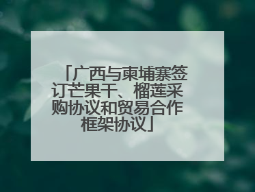 广西与柬埔寨签订芒果干、榴莲采购协议和贸易合作框架协议
