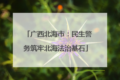 广西北海市：民生警务筑牢北海法治基石