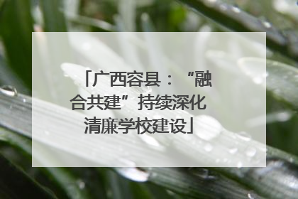 广西容县：“融合共建”持续深化清廉学校建设