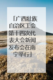 广西壮族自治区工会第十四次代表大会新闻发布会在南宁举行