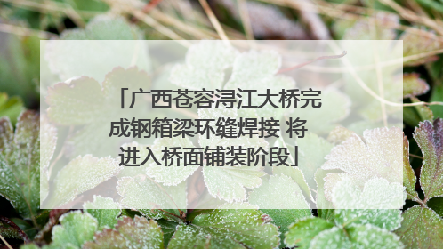 广西苍容浔江大桥完成钢箱梁环缝焊接 将进入桥面铺装阶段