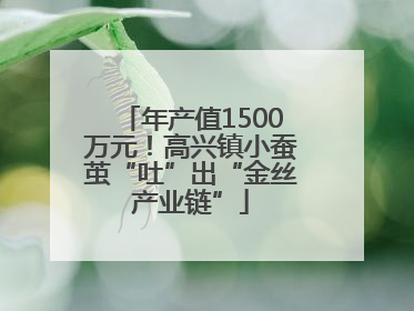 年产值1500万元！高兴镇小蚕茧“吐”出“金丝产业链”