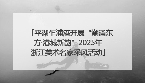 平湖乍浦港开展“潮涌东方·港城新韵”2025年浙江美术名家采风活动