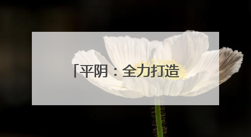 平阴：全力打造“古镇焕新景，泉韵映江南”乡村振兴新图景