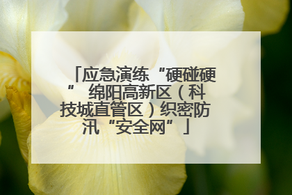 应急演练“硬碰硬” 绵阳高新区（科技城直管区）织密防汛“安全网”