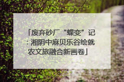 废弃砂厂“蝶变”记：湘阴中麻贝乐谷绘就农文旅融合新画卷