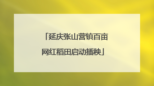 延庆张山营镇百亩网红稻田启动插秧