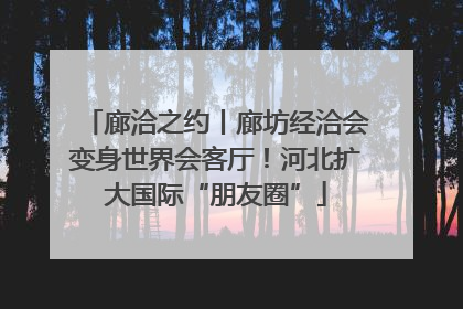 廊洽之约丨廊坊经洽会变身世界会客厅！河北扩大国际“朋友圈”