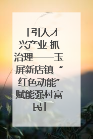 引人才 兴产业 抓治理——玉屏新店镇“红色动能”赋能强村富民